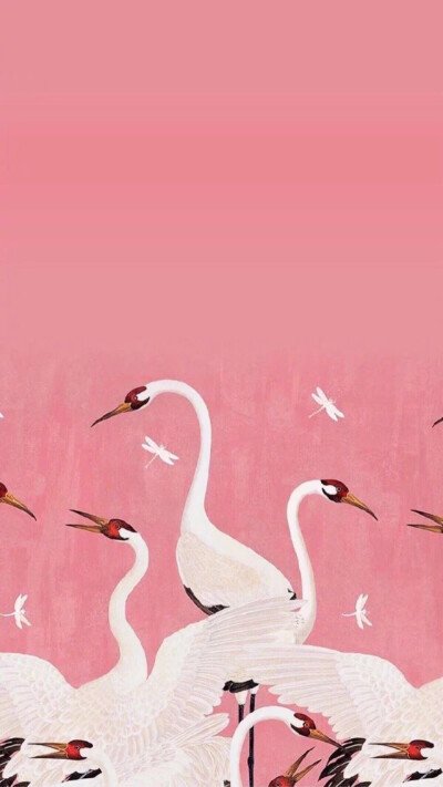 Pink Flamingos