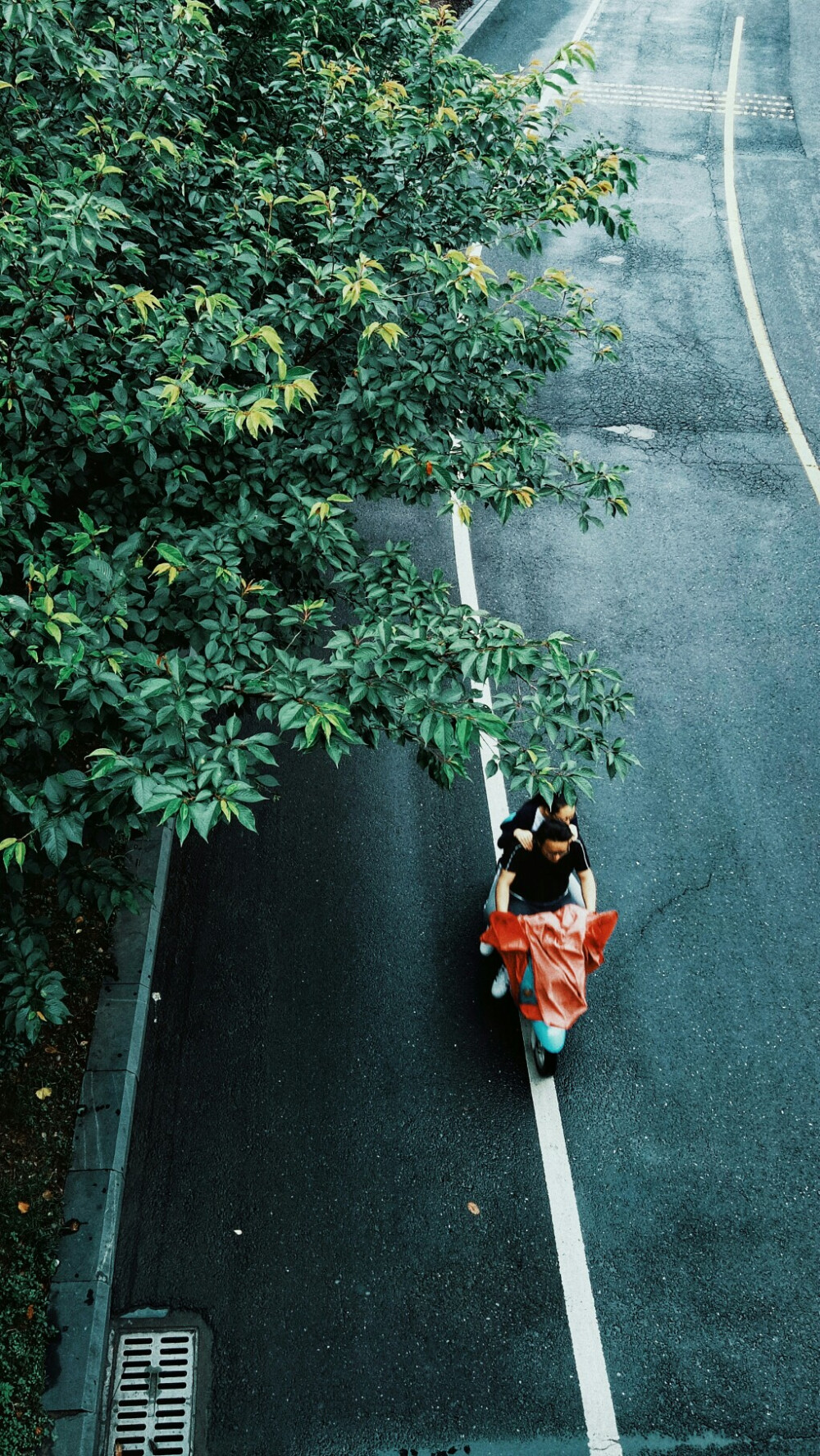 黄山市屯溪区。