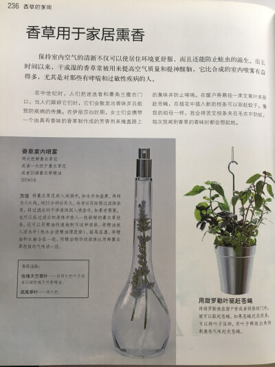 香草香草