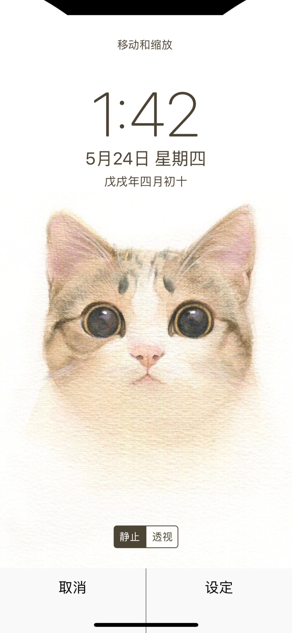 猫咪壁纸，猫星人