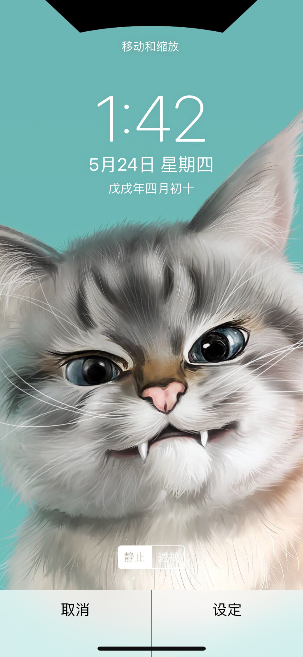 猫咪壁纸，猫星人