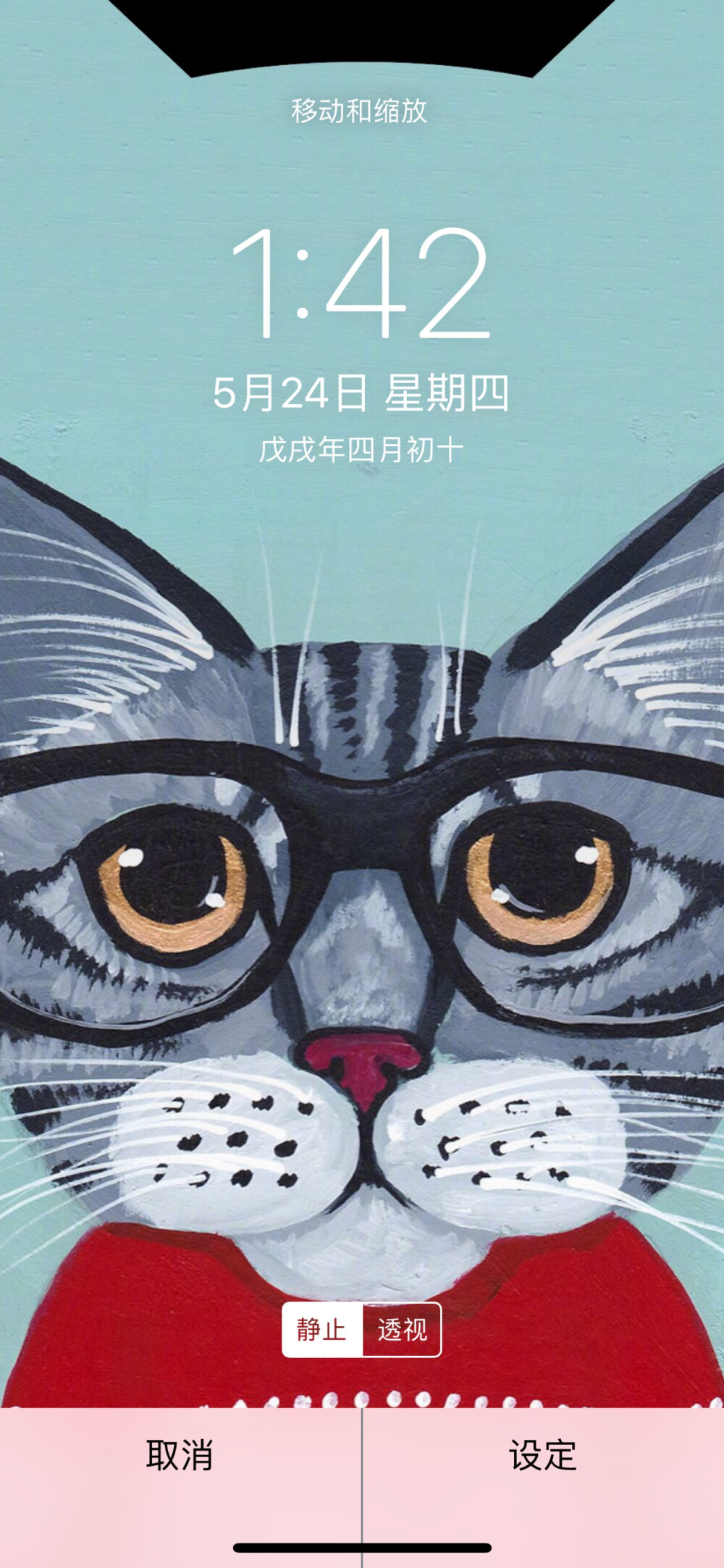 猫咪壁纸，猫星人