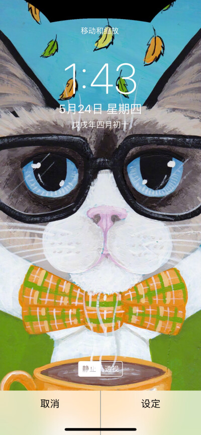 猫咪壁纸，猫星人