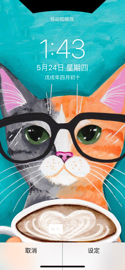 猫咪壁纸，猫星人