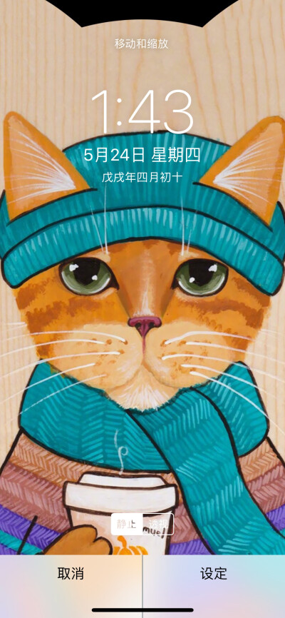 猫咪壁纸，猫星人