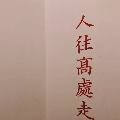 壁纸