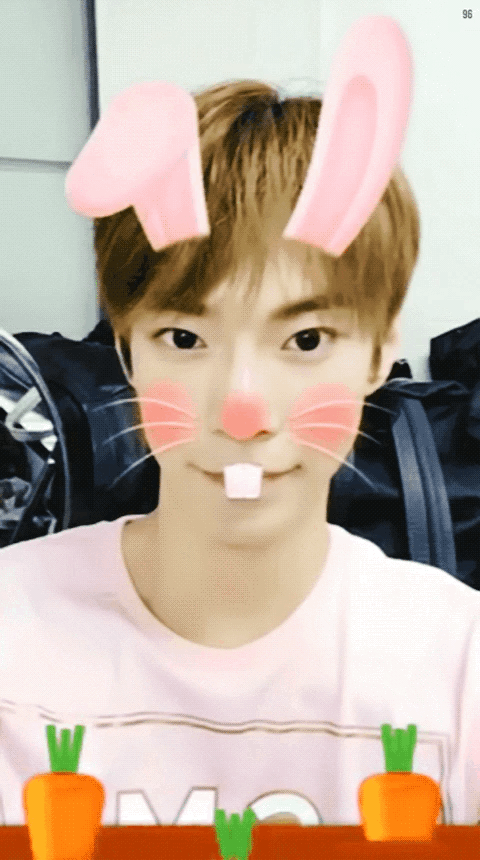 金道英doyoung19960201