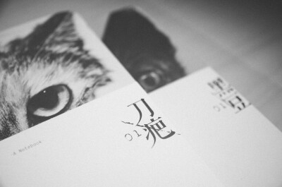 发一些喜欢的图