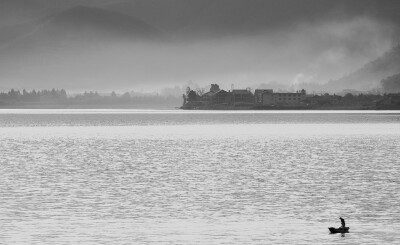 发一些喜欢的图