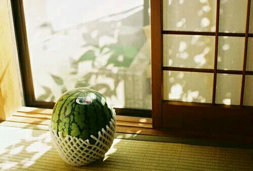 ☀️
金黄色的田野里到处都晃动着收割者的身影
数不清的白草帽在亮得让人睁不开眼睛的麦海里漂浮
家家都锁了门
空落落的村子里只剩下火红的石榴花寂寞地开着。