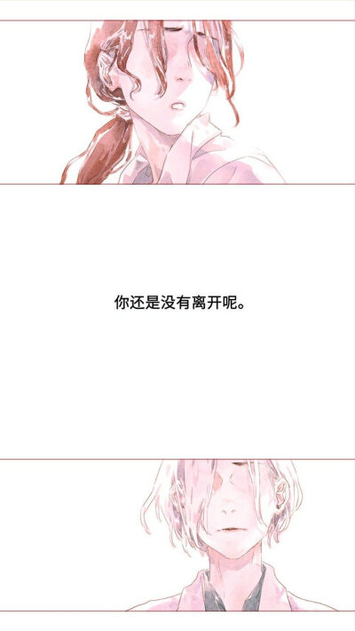 壁纸/动漫/百合