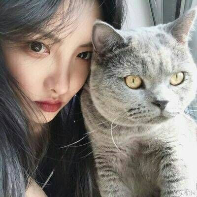 抱猫女头.拿图礼貌点赞.