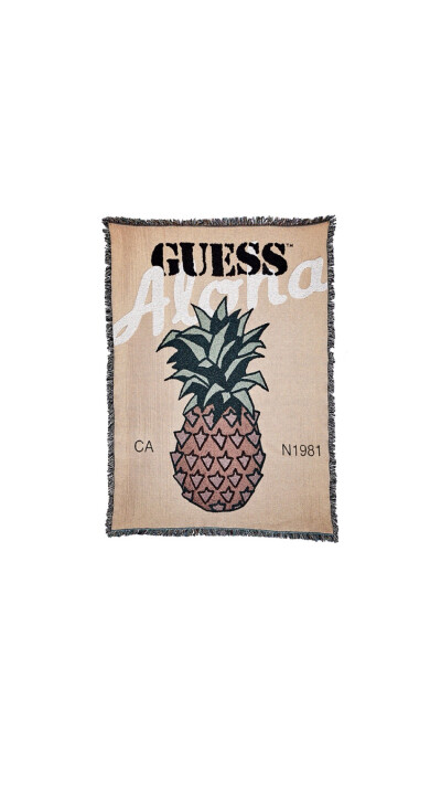 Pidan｜Guess