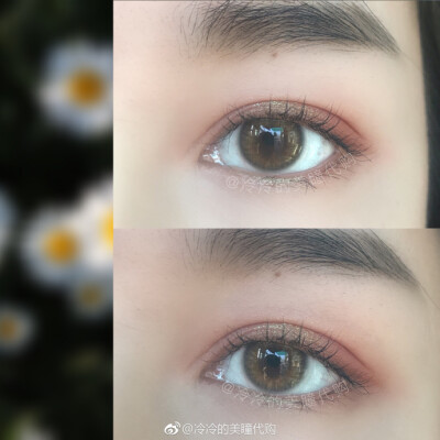 olens spanish brown 美瞳