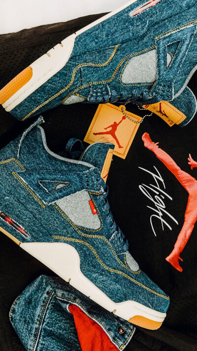 Pidan｜Levis × JordanB