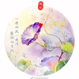 【莳花绘】作者： 吃番茄的绿妖 