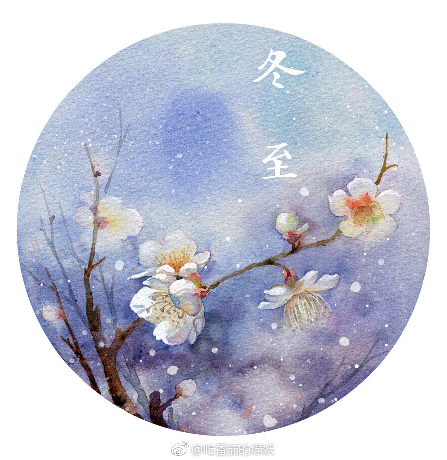 【莳花绘】作者： 吃番茄的绿妖