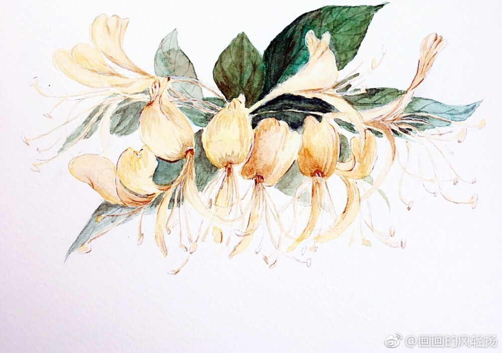 【花间集】作者：画画的风轻扬