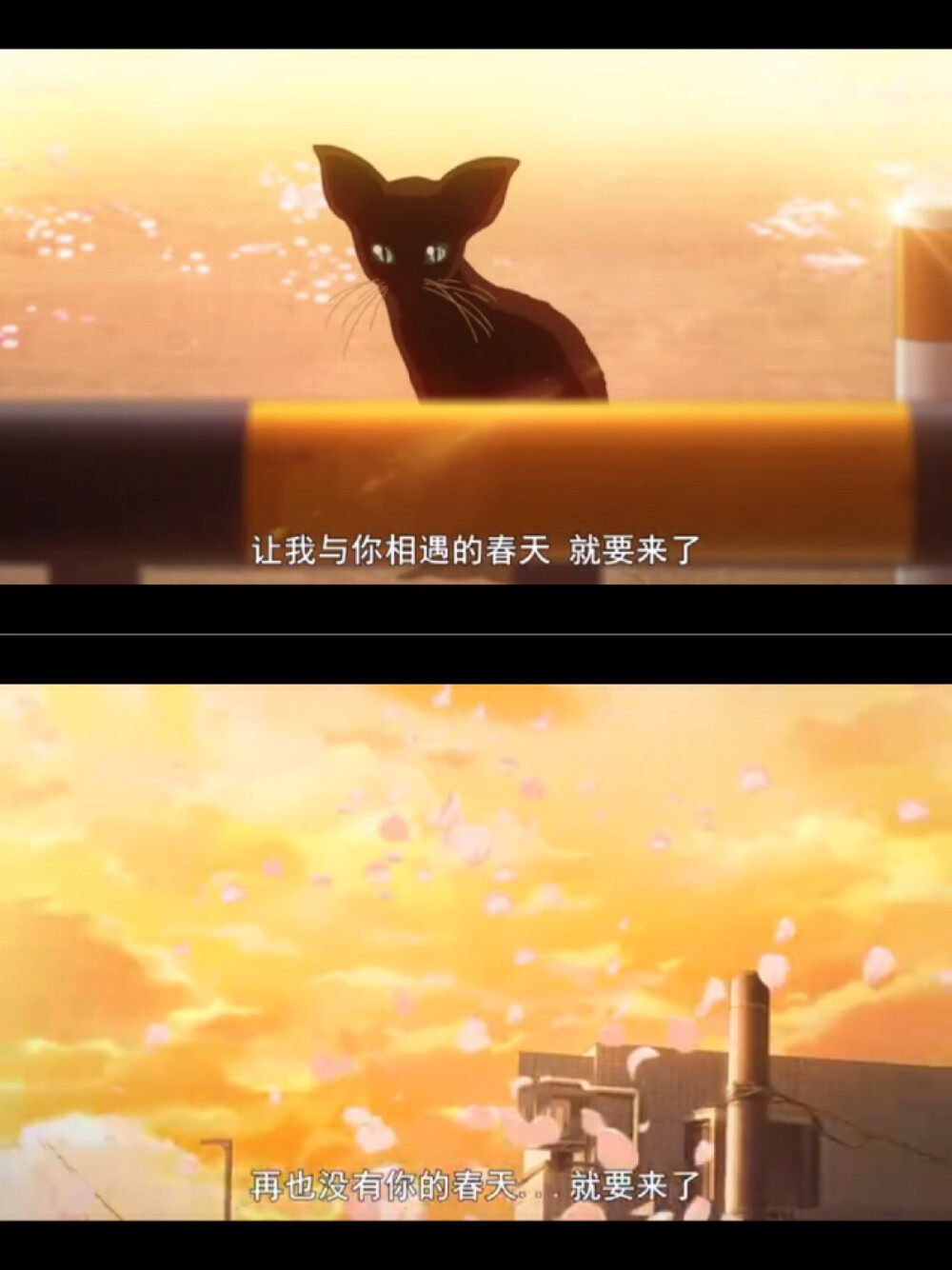 好き