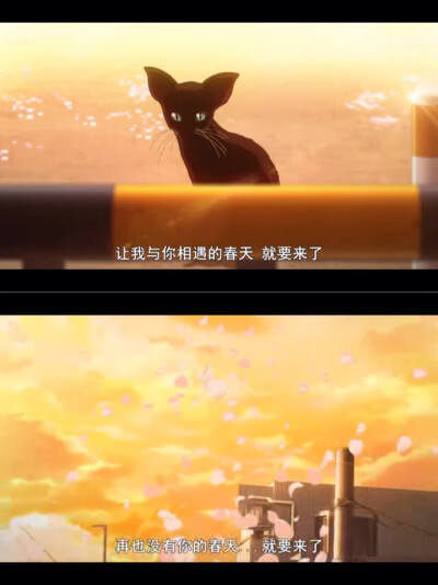 好き