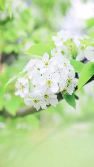 青色 堆糖 美图壁纸兴趣社区