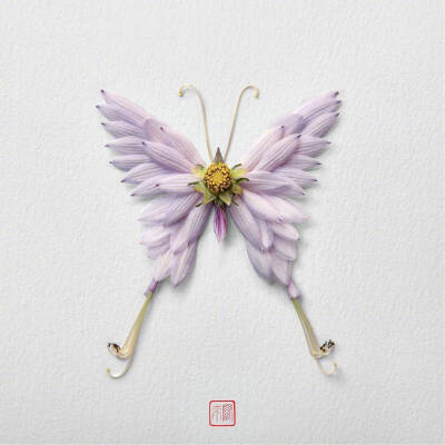 花蝴蝶