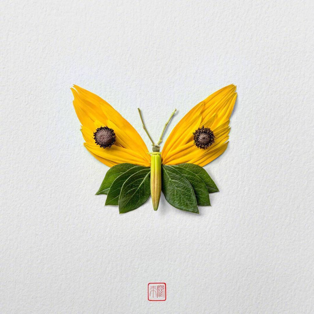 花蝴蝶
