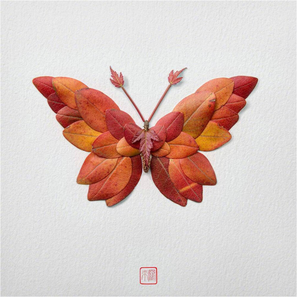 花蝴蝶