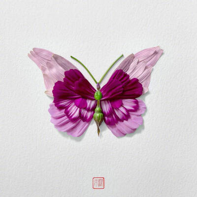花蝴蝶