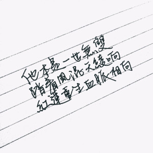 #哪吒 歌词 他本是一世无双 踏着风混天绫响 红莲重生血脉相向# 贰婶 EDIQ  手写 渣字by果砸