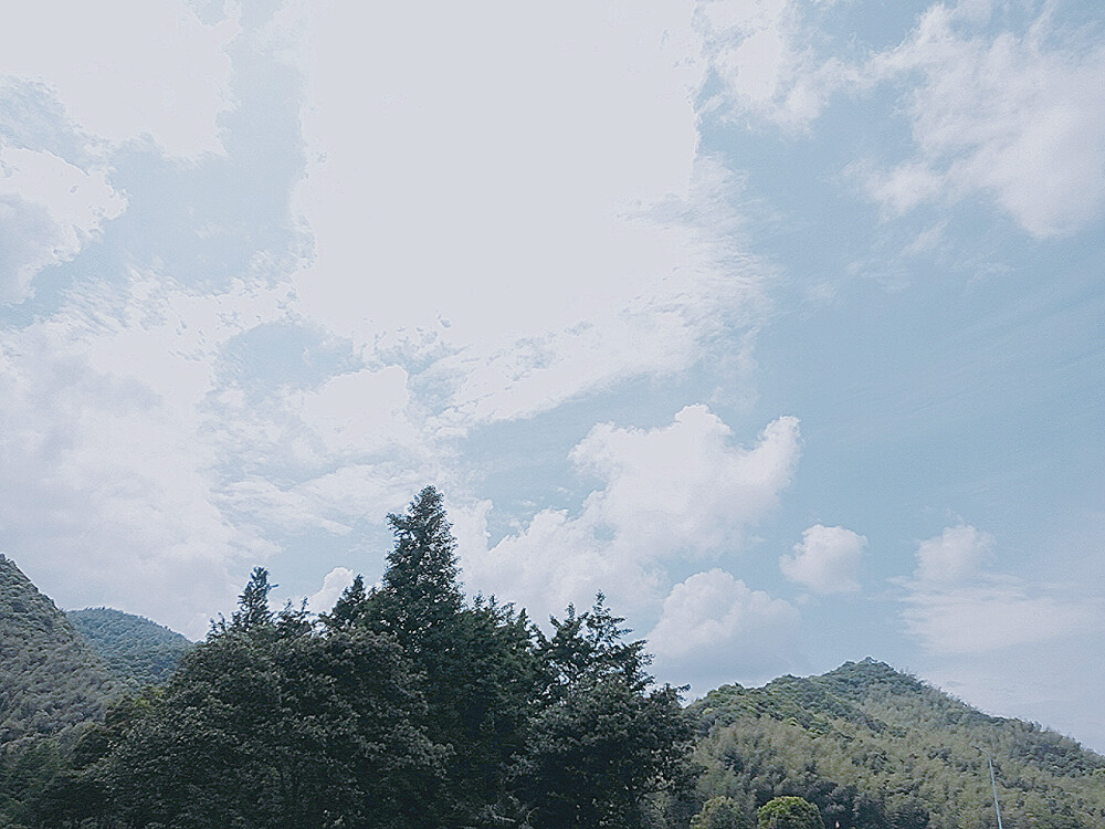 就是夏天该有的样子 日系啊 风景 随拍