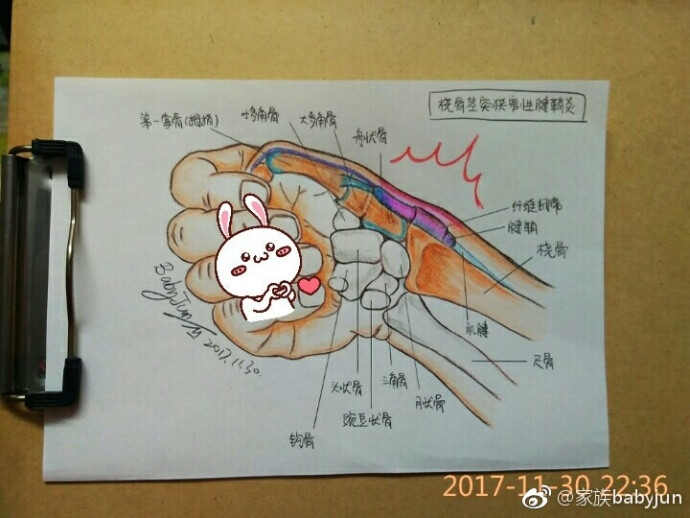 医学手绘，医学插画，医学美图