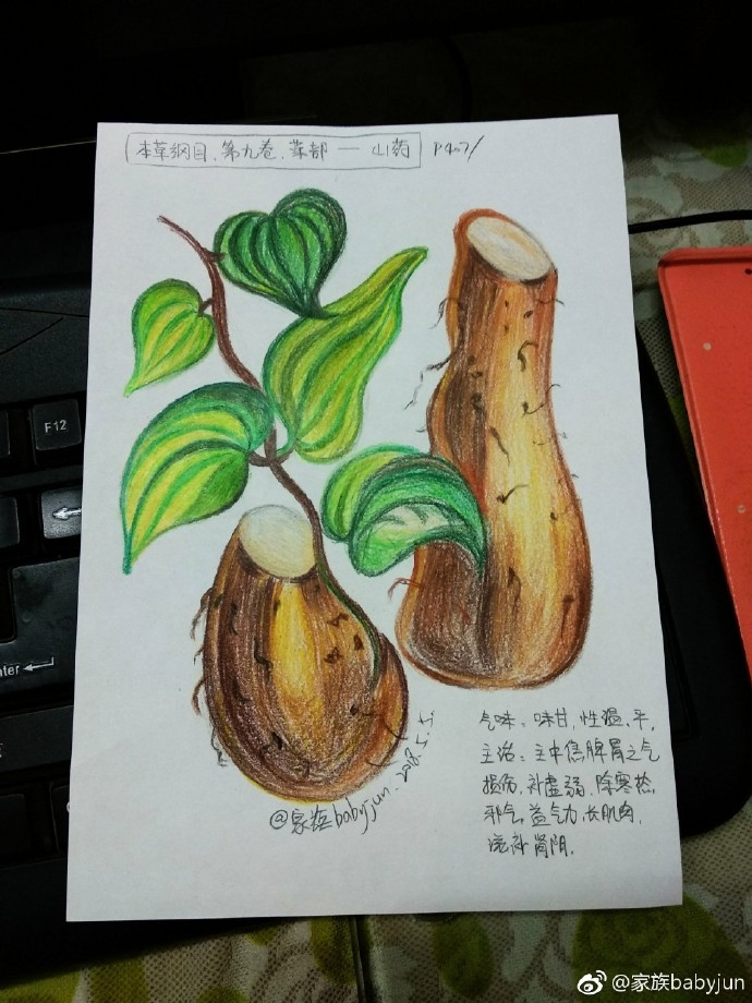 医学手绘，医学插画，医学美图