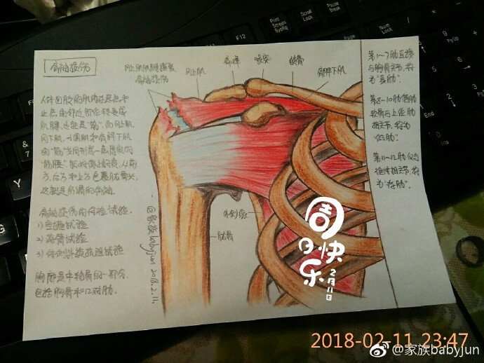 医学手绘，医学插画，医学美图