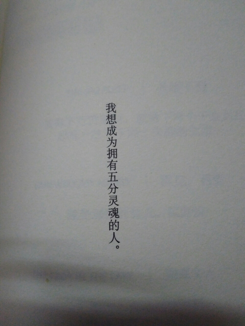 《风雪追击》东野圭吾