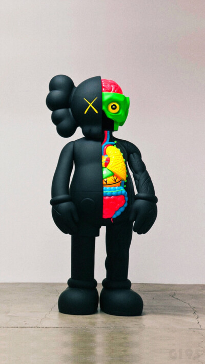 Pidan｜KAWS