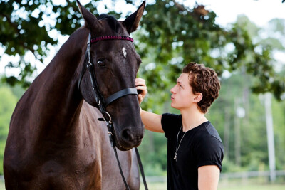 Tomholland荷兰弟小蜘蛛