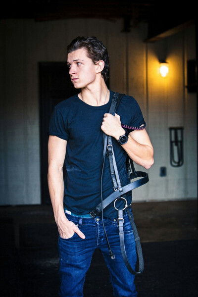 Tomholland荷兰弟小蜘蛛