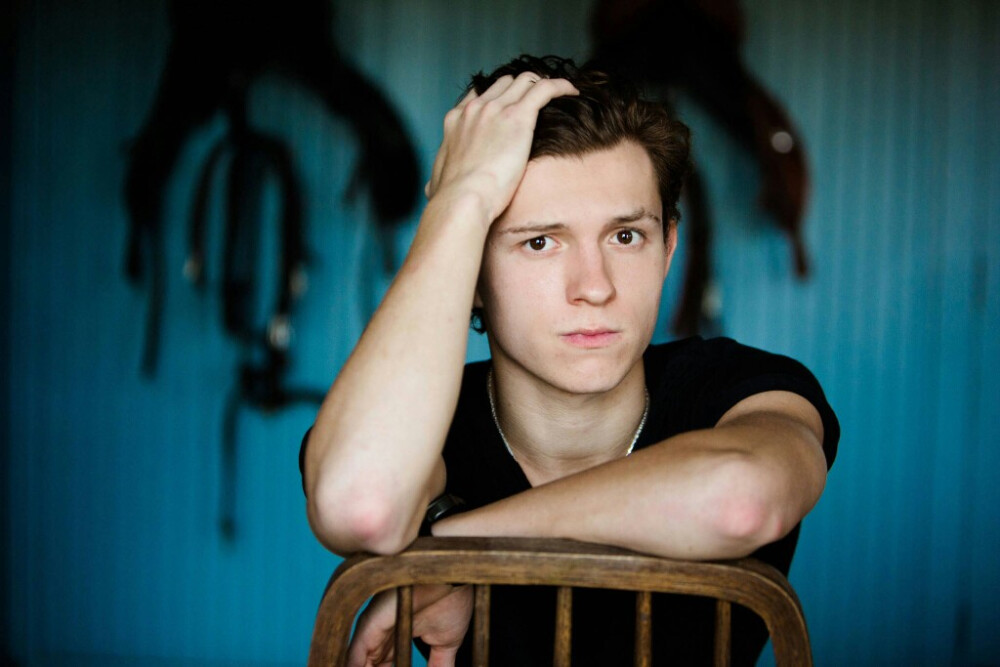 Tomholland荷兰弟小蜘蛛