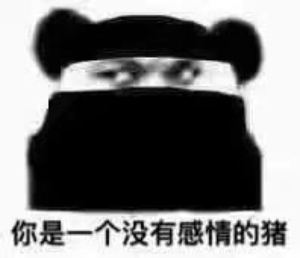 我不说话，我只发图
「表情包」「可爱」「屌丝」「斗图」「杂」「猫」「小朋友」