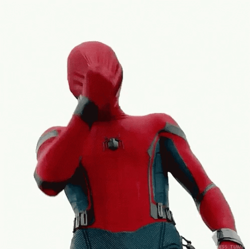 汤姆赫兰德 蜘蛛侠 荷兰弟