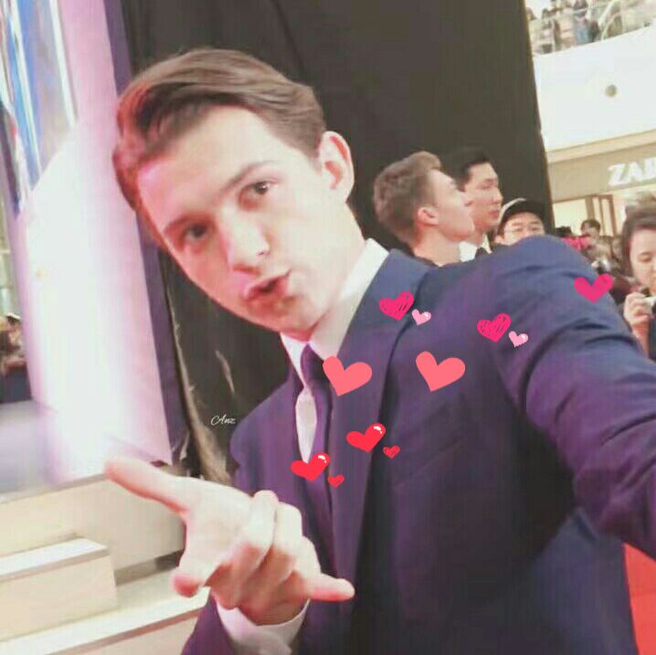 捕捉一只汤荷兰