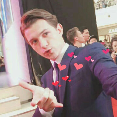 捕捉一只汤荷兰