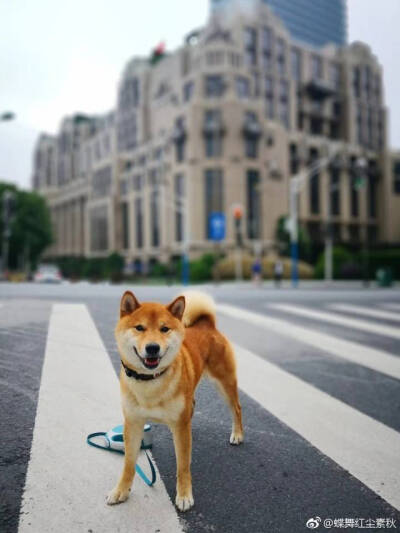 雨过天晴，坦露笑容