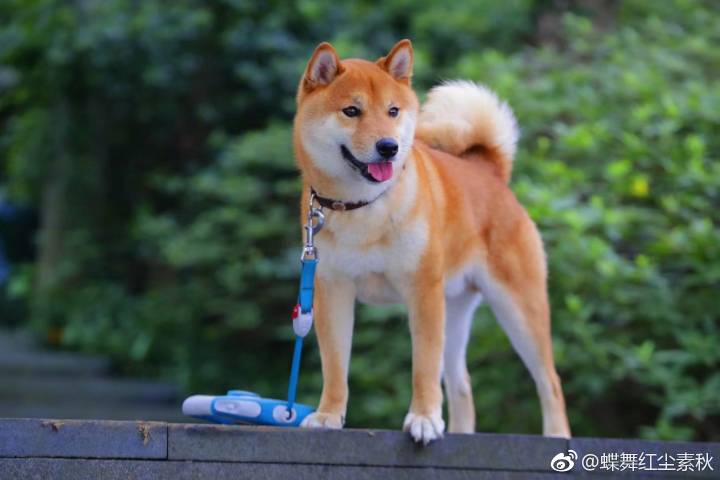 雨过天晴，坦露笑容