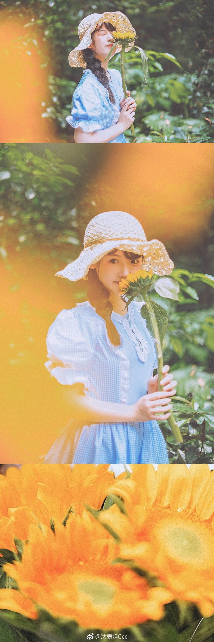 【夏のひまわり】
?陽に向かって咲いた花は、開いて太陽のように輝き、色にはもう太陽の味が満ちている
出鏡：@彭璐妹za
攝影：@汏表姐Ccc ??