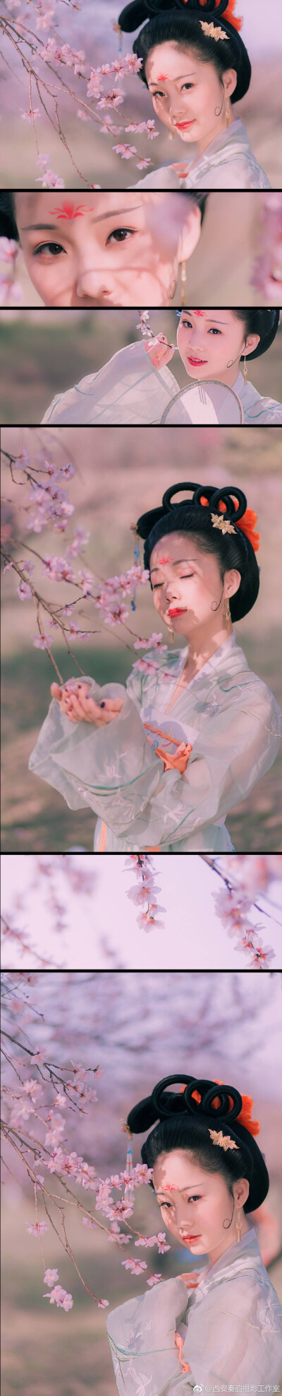 【有花堪折直须折，莫待无花空折枝】
春季的长安城外，宛如仙境的花海，不要错过喽~
感谢出镜 @Viola丶IceBerg
摄影@秦韵摄影师二雷
化妆@灵岳_愛九
后期@蒋小博是个神神 ​​​