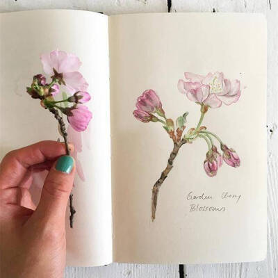 cr.插画师 Somang Lee