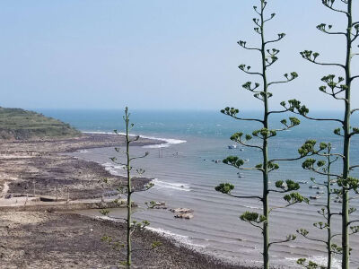 福建漳州龙海市的镇海角，有种天涯海角的感觉。