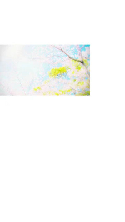 白边壁纸